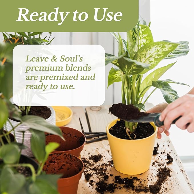 Large Bonsai Soil Premium All Purpose Blend | Pre-Mixed Ready to Use for Plant Support and Fast Drainage | Lava, Limestone Pearock, Calcined Clay and Pinebark | Extra Large 8.2 Quarts | Made in USA