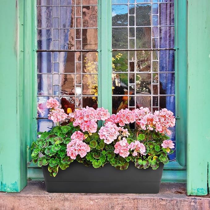 GREANER Black Rectangle Window Boxes, 3 Pack 12x3.8 Inch Herb Planters with Tray, Indoor Succulent Cactus Mint Plastic Pot for Windowsill, Garden Balcony, Office Outdoor Decoration