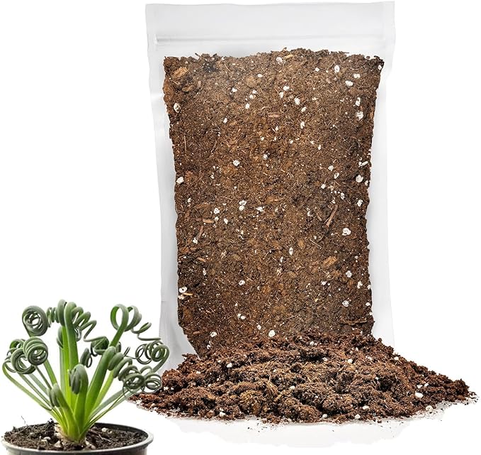 Premium Albuca Spiralis Potting Soil Mix - Perfect Balance of Nutrients, Drainage, and Aeration for Thriving Blooms - 3 Quart