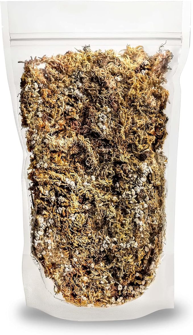 Premium Orchid Mix by GARDENERA - 10 Quart - Fern + New Zealand Pine Bark + Sphagnum Moss + Perlite | Best for Growing and Repotting Orchids (2 Bags of 5 QT)