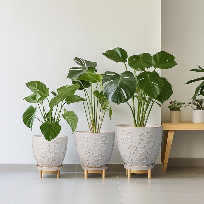 6 Inch Plant Pot with Drainage Hole and Saucer Ceramic Planter for Indoor Plant Flower Pot for Orchid Succulents Plants White