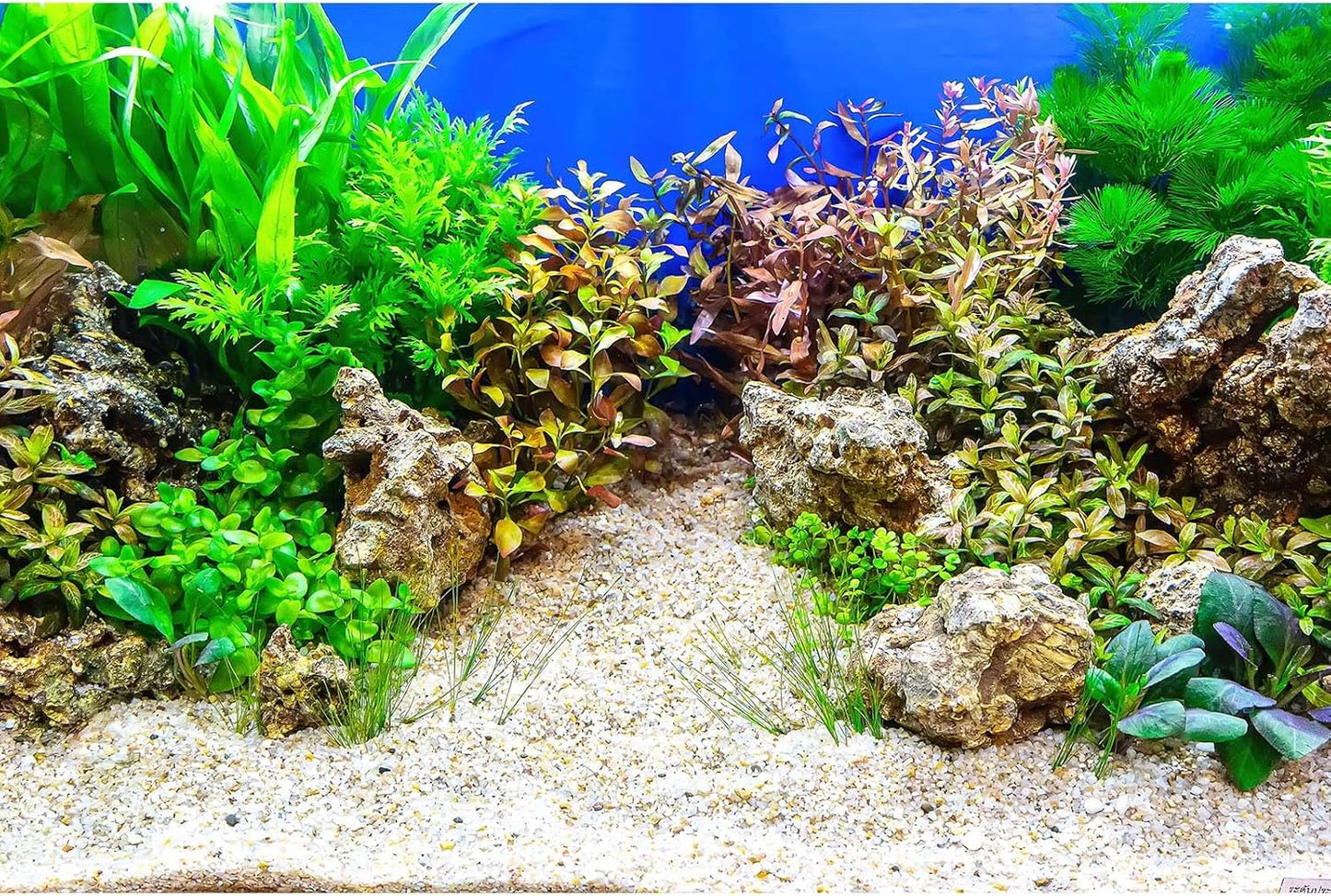 Aquarium Background Underwater Grass Leaves with Pebble Aquarium Backdrop Vivid and Fresh Green Aquatic Plant Stone River Bed and Lake Fish Tank Background Decor Vinyl 24x16in