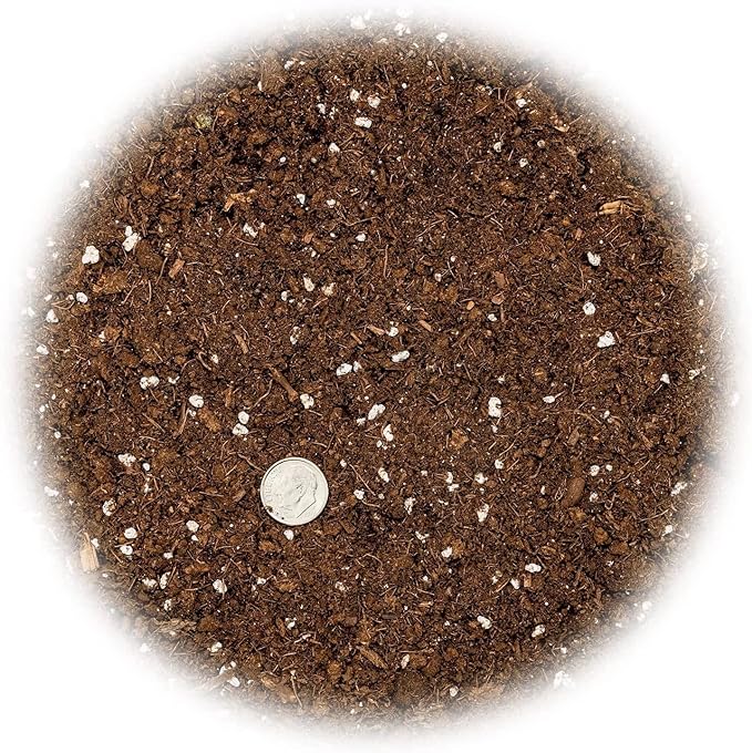 Citrus Tree Potting Soil Mix, Special Blend for Indoor Oranges, Lemons, Limes and More - (2 Quart Bag)