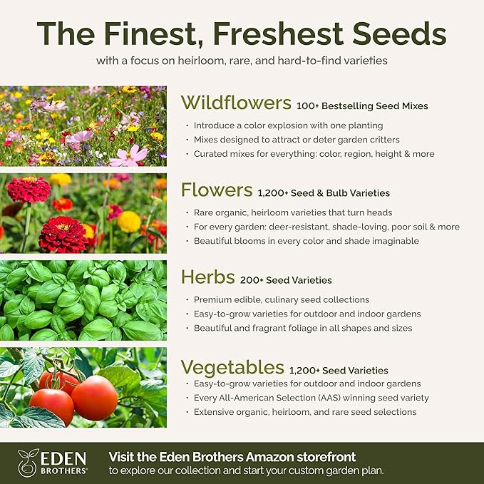 Eden Brothers Royal Meadow Flower Mixed Seeds for Planting, 1/4 lb, 120,000+ Seeds with Morning Glory, African Daisy | Attracts Pollinators, Plant in Spring or Fall, Zones 3, 4, 5, 6, 7, 8, 9, 10