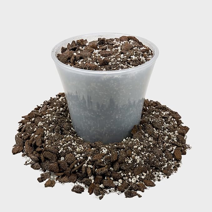 Professional Succulent Soil Premium All Purpose Blend | Pre-Mixed Ready to Use for Cactus and Succulents | Sphagnum Peat Moss, Perlite, New Zealand Pine Bark - Made in USA - 1 Quart