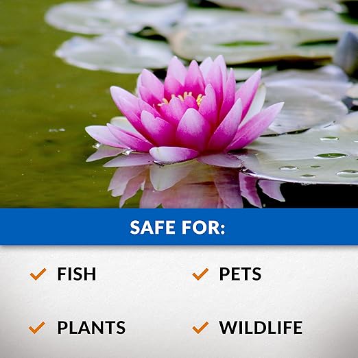CrystalClear Algae D-Solv Pond Algae Control, Fast-Acting EPA Registered Algaecide, Use in Fountains & Outdoor Ponds Containing Koi & Other Fish, Treats 46,080 Gallons, 1 Gallon