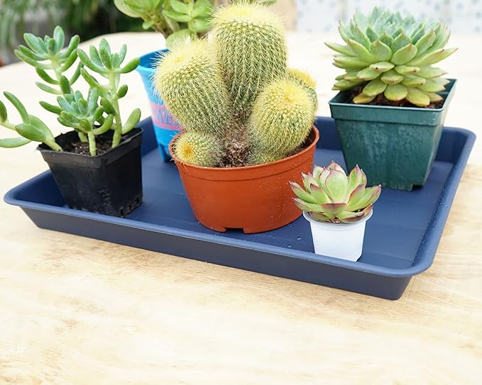 4 Pack Plant Saucer Tray Rectangular, Plant Growing Nursery Trays, Heavy Sturdy Seed Starting Trays, Plant Starter Trays for Indoors No Holes, Seed Starter Growing Tray (17.5"x10.6", Blue)