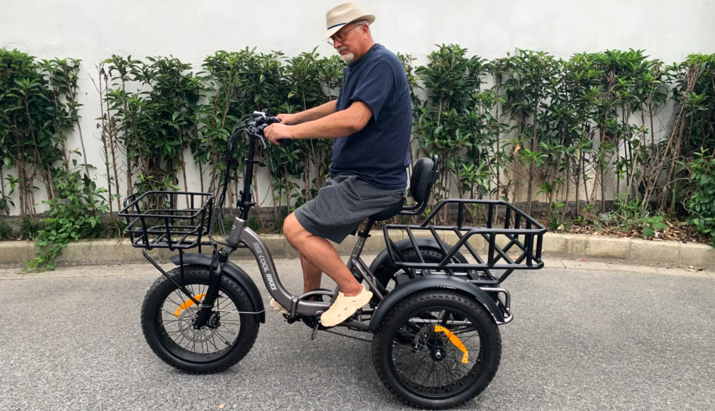 Bee Zipper Foldable Long Range Electric Trike