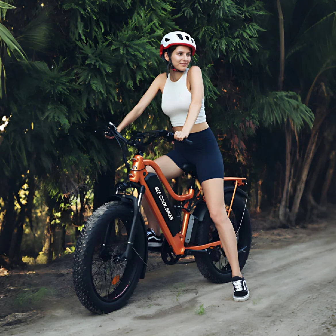 Bee Explorer Soft Tail Long Range Electric Bike