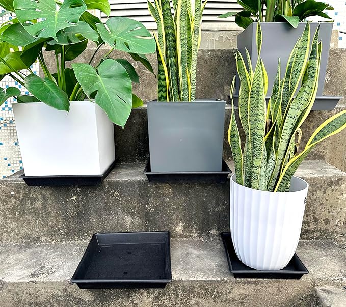 Square Plant Saucer 5 Pack 8 10 12 14 16 18 20 Inch, Plant Trays for Pots Heavy Duty Plastic Plant Saucers for Indoors Outdoors, Flower Pot No Holes Plant Drip Trays