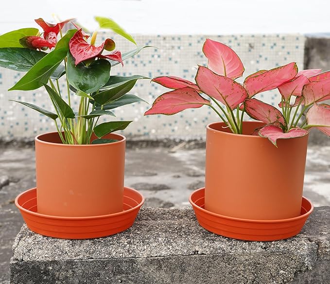 Plant Saucer 14 Inch 2 Pack 6 8 10 12 14 16 18 20 25, Plastic Plant Trays for Pots，Extra-Deep Plant Water Dray Tray, Bird Bath Bowl, Heavy Flower Plant Saucers Indoors and Outdoor No Holes