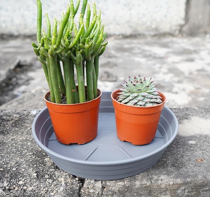 Plant Saucer 8 Inch 4 Pack 6 8 10 12 14 16 18 20 25, Plastic Plant Trays for Pots，Extra-Deep Plant Water Dray Tray, Bird Bath Bowl, Heavy Flower Plant saucers Indoors and Outdoor No Holes 8in-4 grey