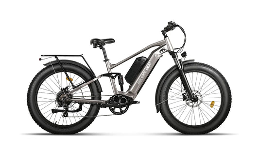 Bee Voyager Dual Batteries Soft Tail Electric Bike