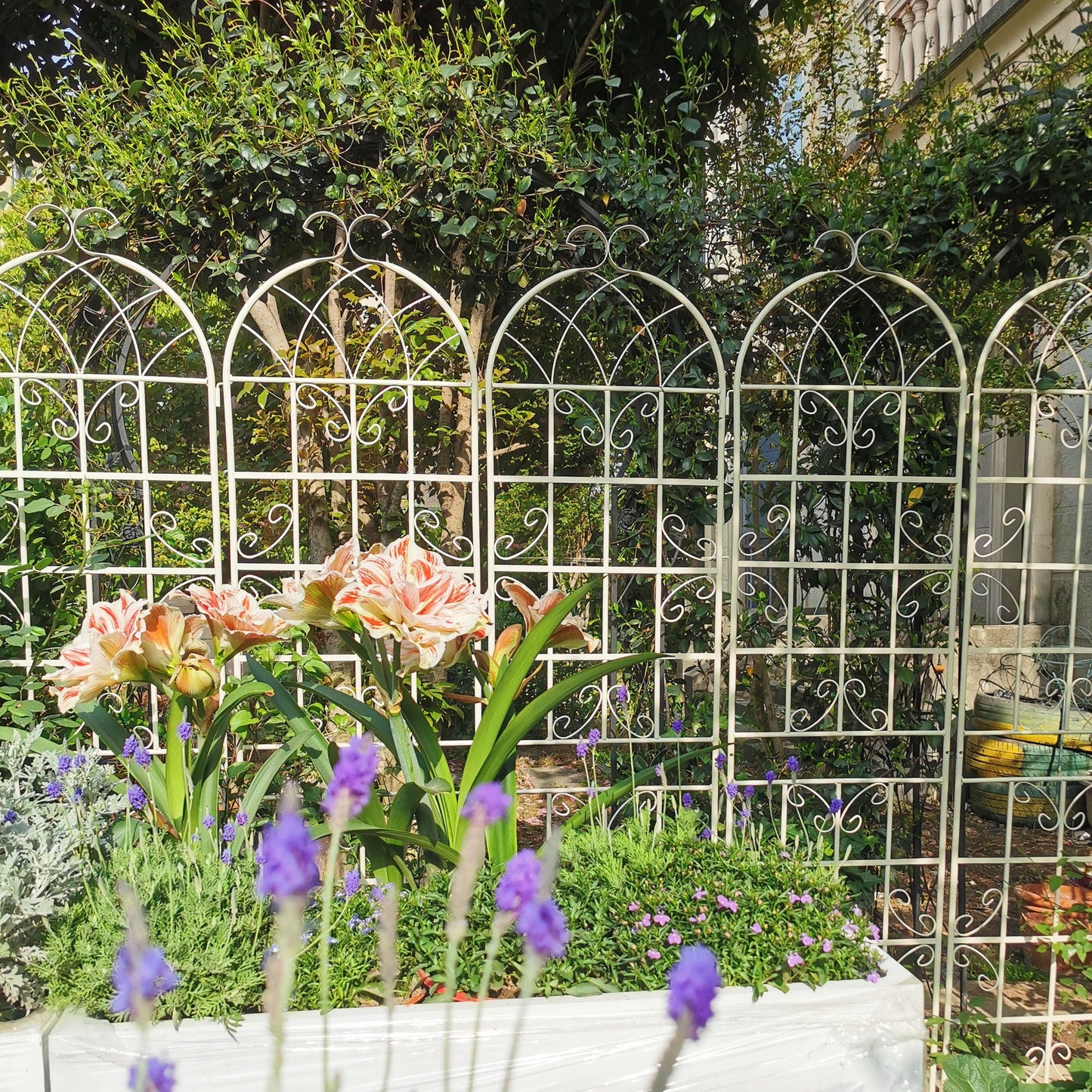 Metal Garden Rustproof Trellis For Climbing Plants Outdoor Flower Support