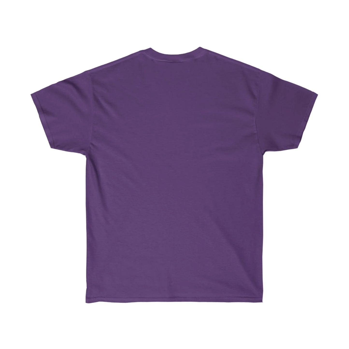 Unapologetically Fabulous: The Gay Chads T-Shirt