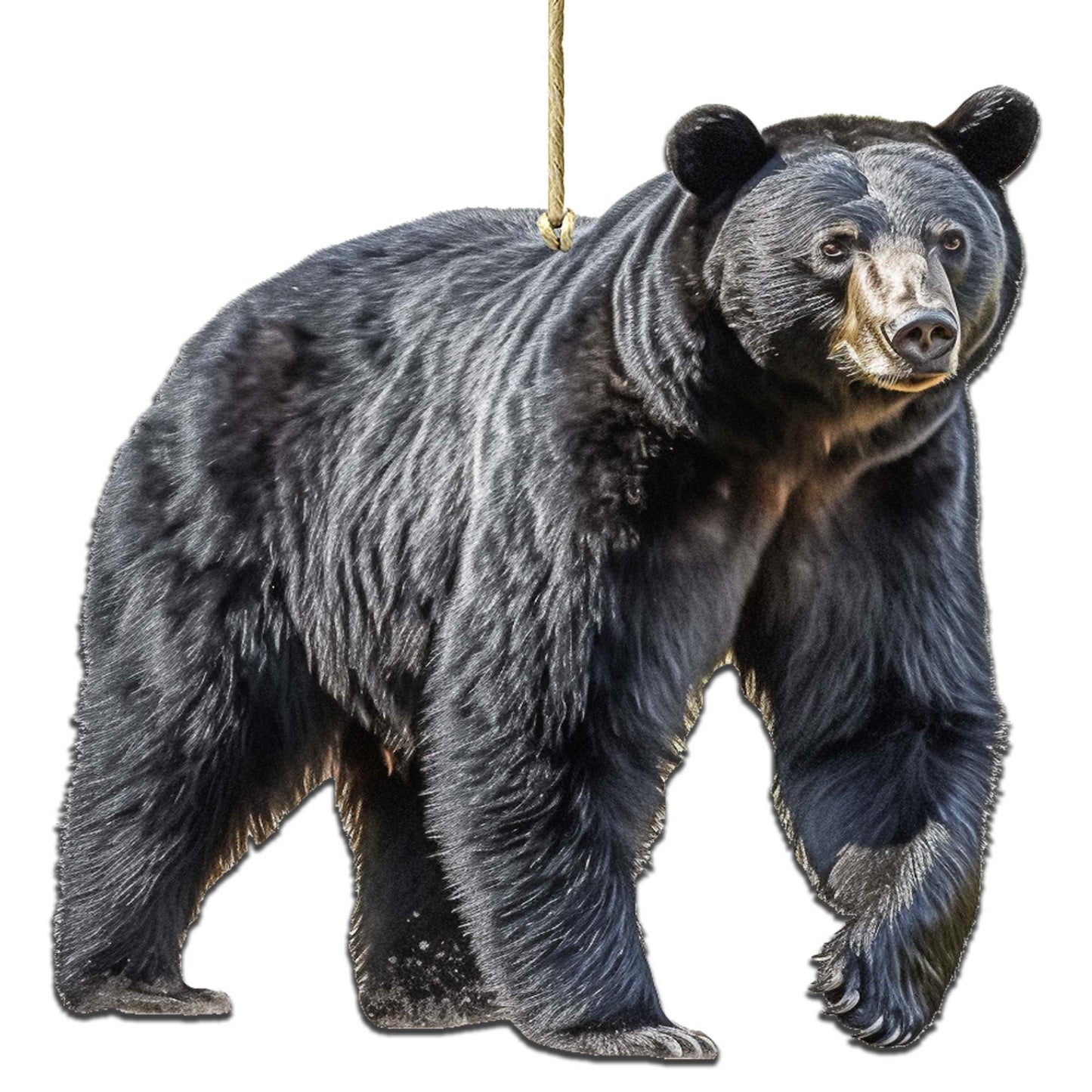 Alaskan Black Bear Wooden Ornaments by G.Debrekht - Wildlife Holiday Decor - 8710105-1