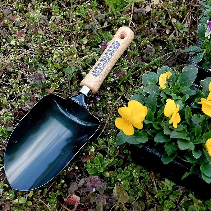 Garden Helper Soil Scoop Garden Tool, Large Loose Soil Scooper Tool for Transplanting and Gardening, Heavy Duty Japanese Steel Balde, Wood Handle, Made in Japan