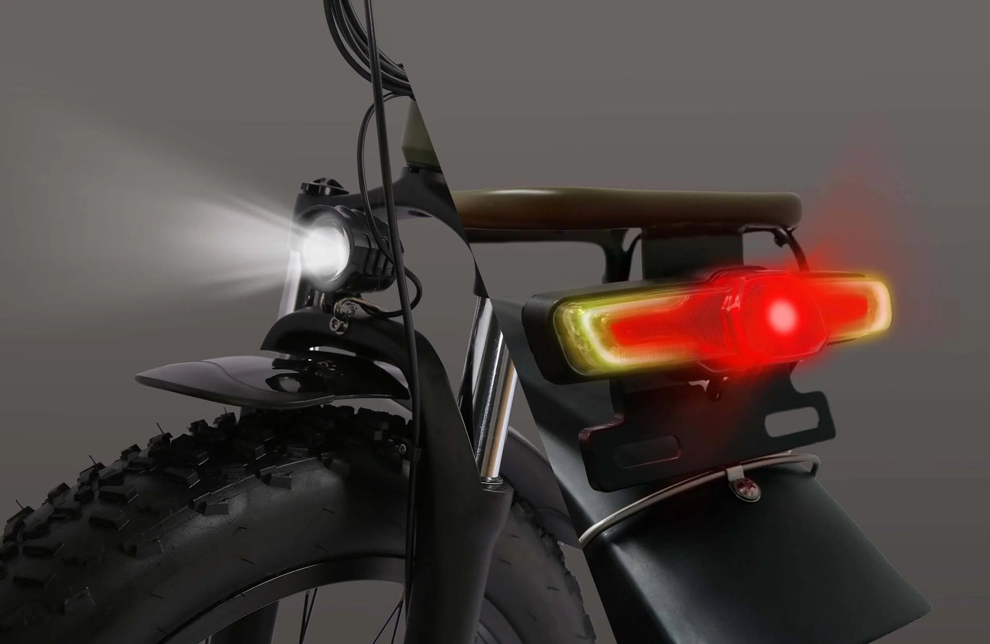 Bee Explorer Soft Tail Long Range Electric Bike