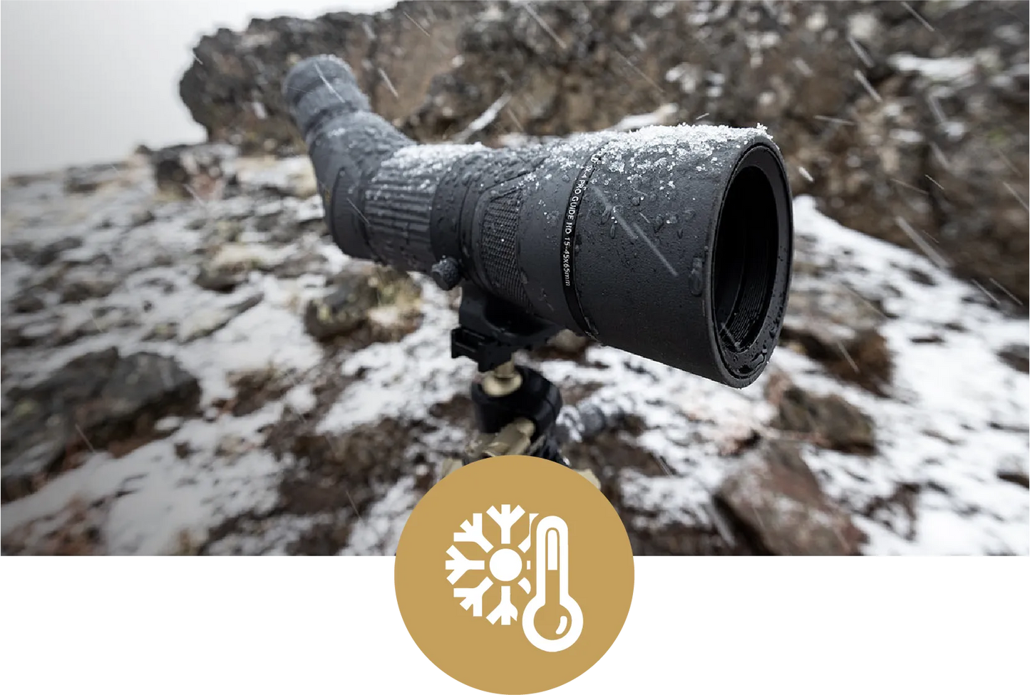Leupold SX-4 Pro Guide HD Gen2 Spotting Scope 20-60x85 Angled