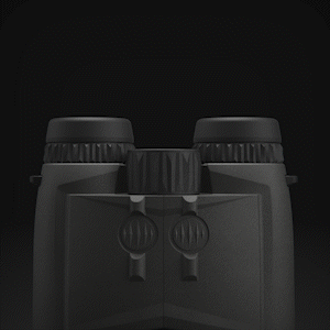 Leupold BX-4 Range HD Gen2 Binoculars 12x50MM