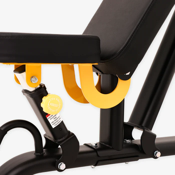 Altas Strength Light-commercial Equipment Multi-functional Bench AL-3039