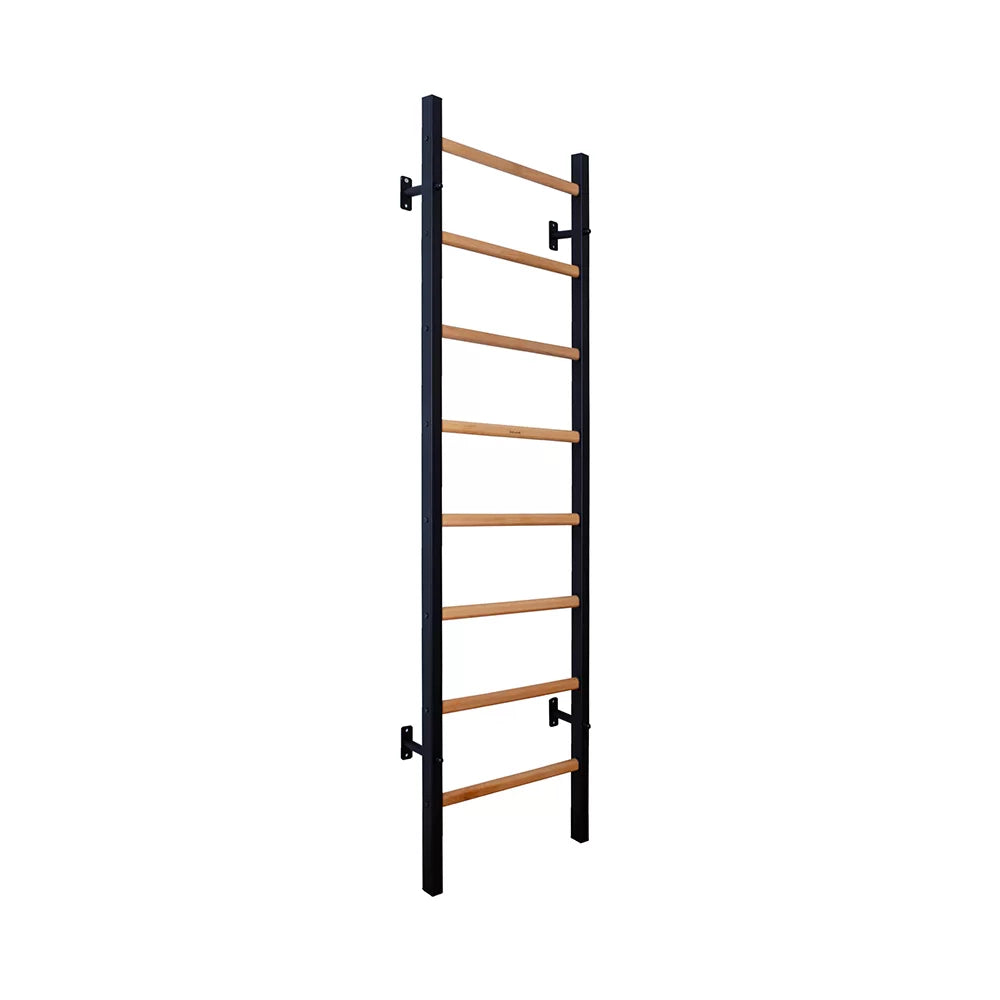 BenchK 200 Gymnastic Wall Bars for Home