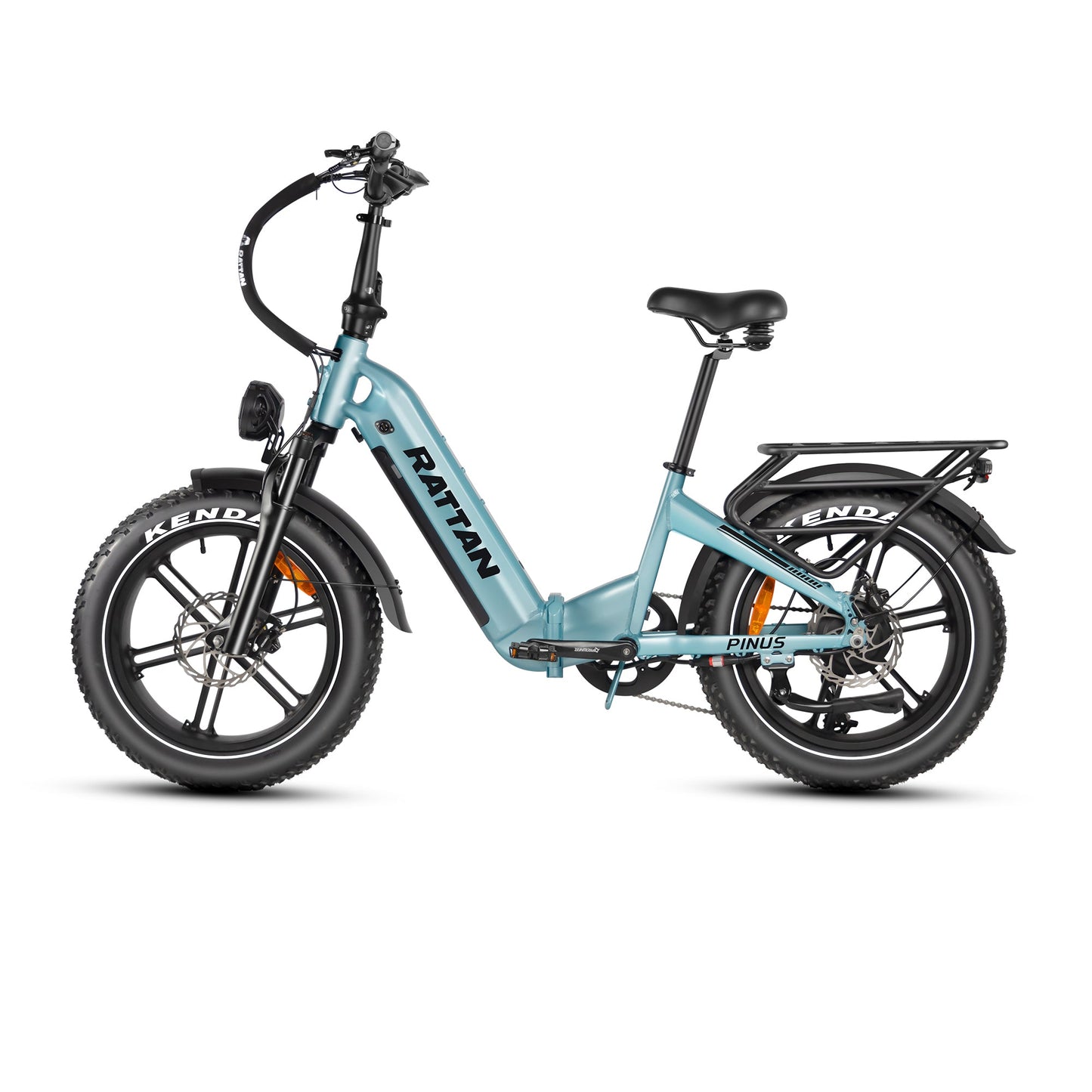 Rattan Pinus Fat Tire 750W Electric Bike