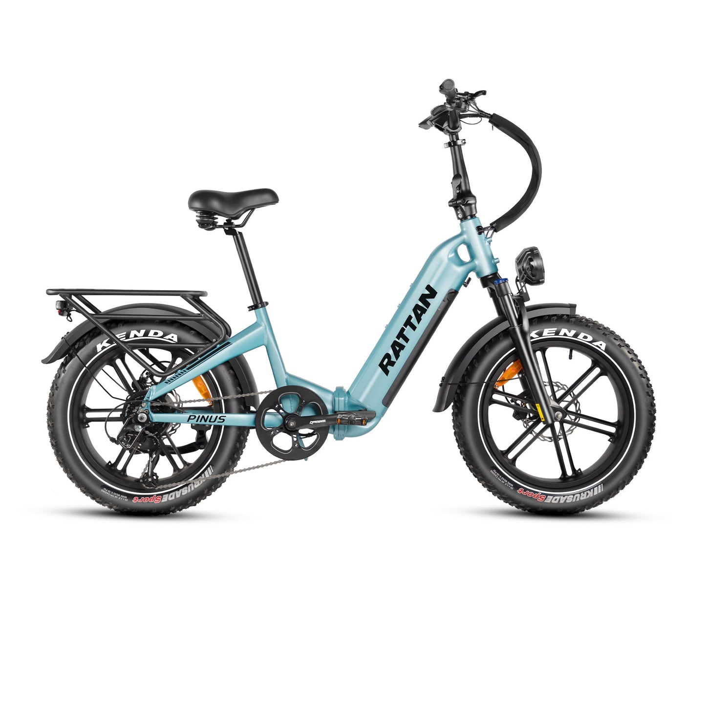 Rattan Pinus Fat Tire 750W Electric Bike