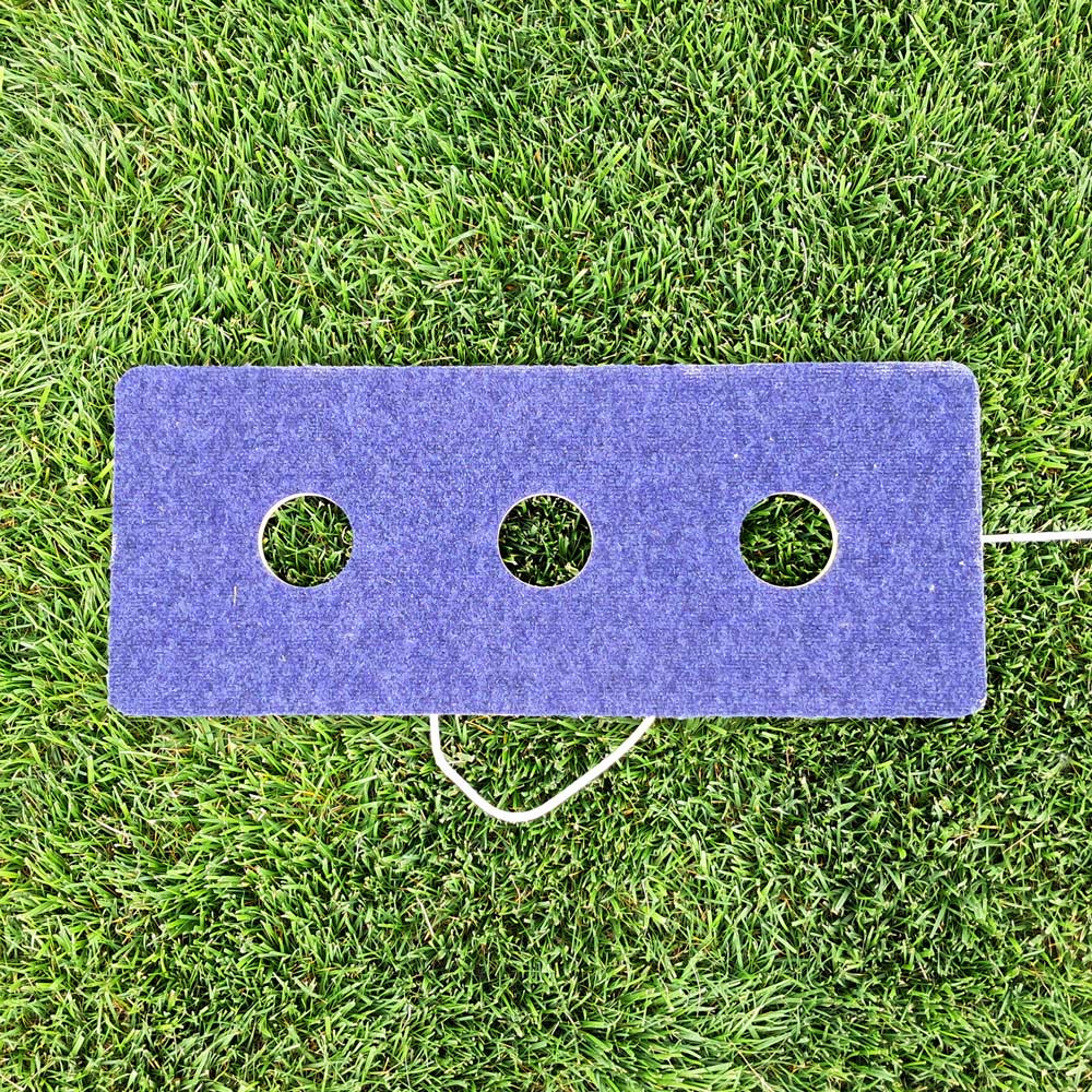 3 Hole Washers Game