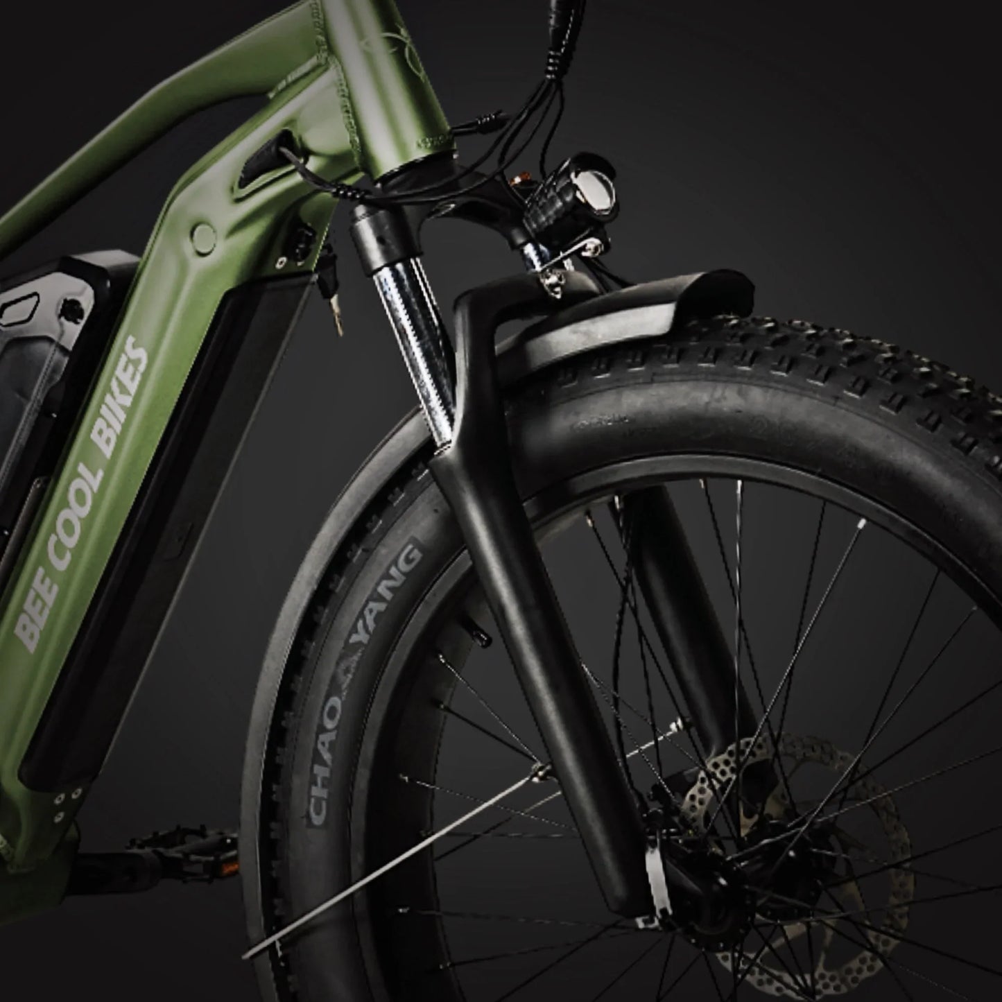 Bee Voyager Dual Batteries Soft Tail Electric Bike