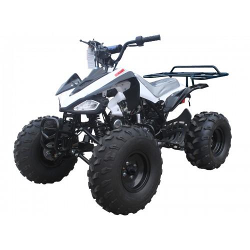 Tao Motor 110 Cheetah Sports ATV - Youth Sports Model 110cc