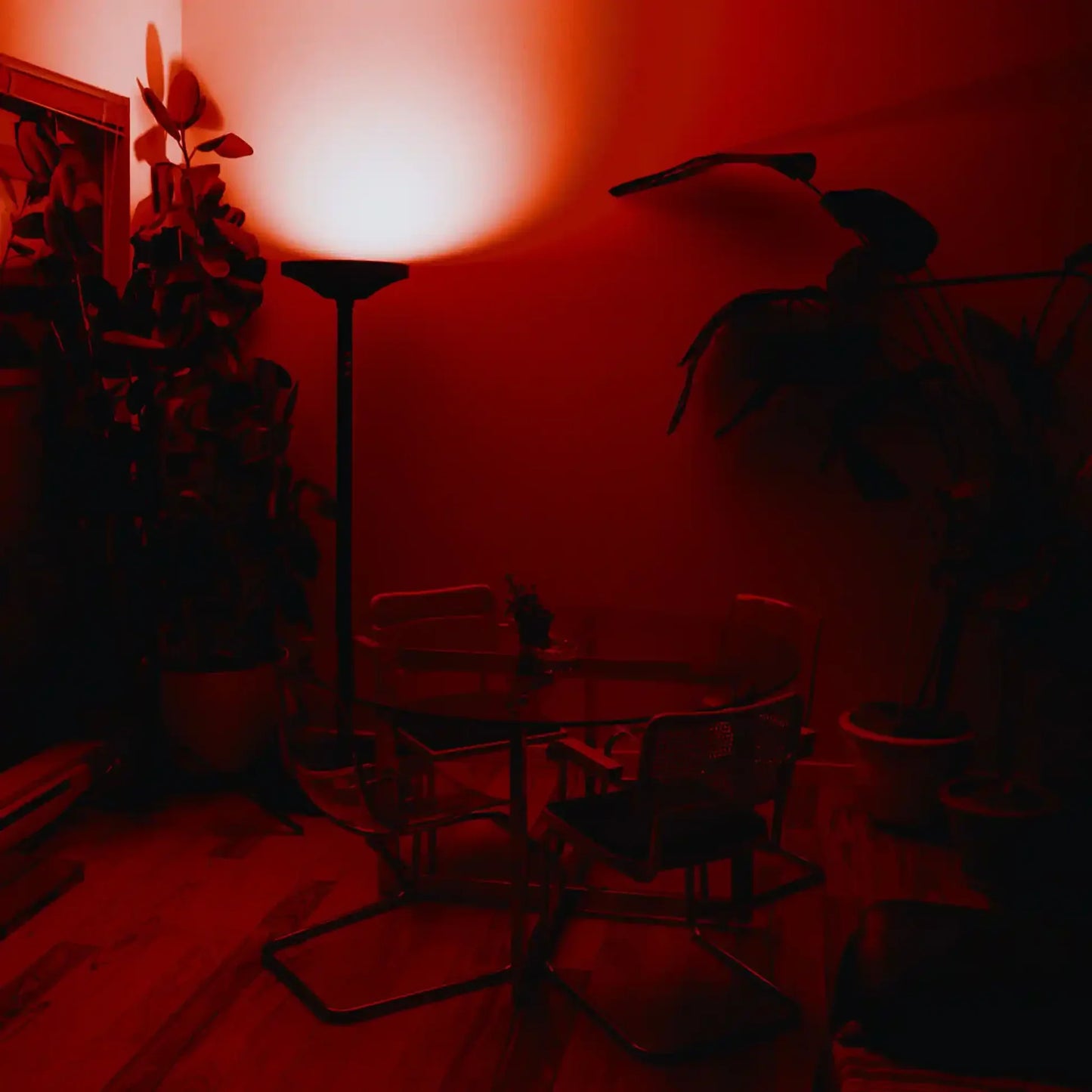 Chroma Skylight Light Spectrum Lamp - Including Red Light