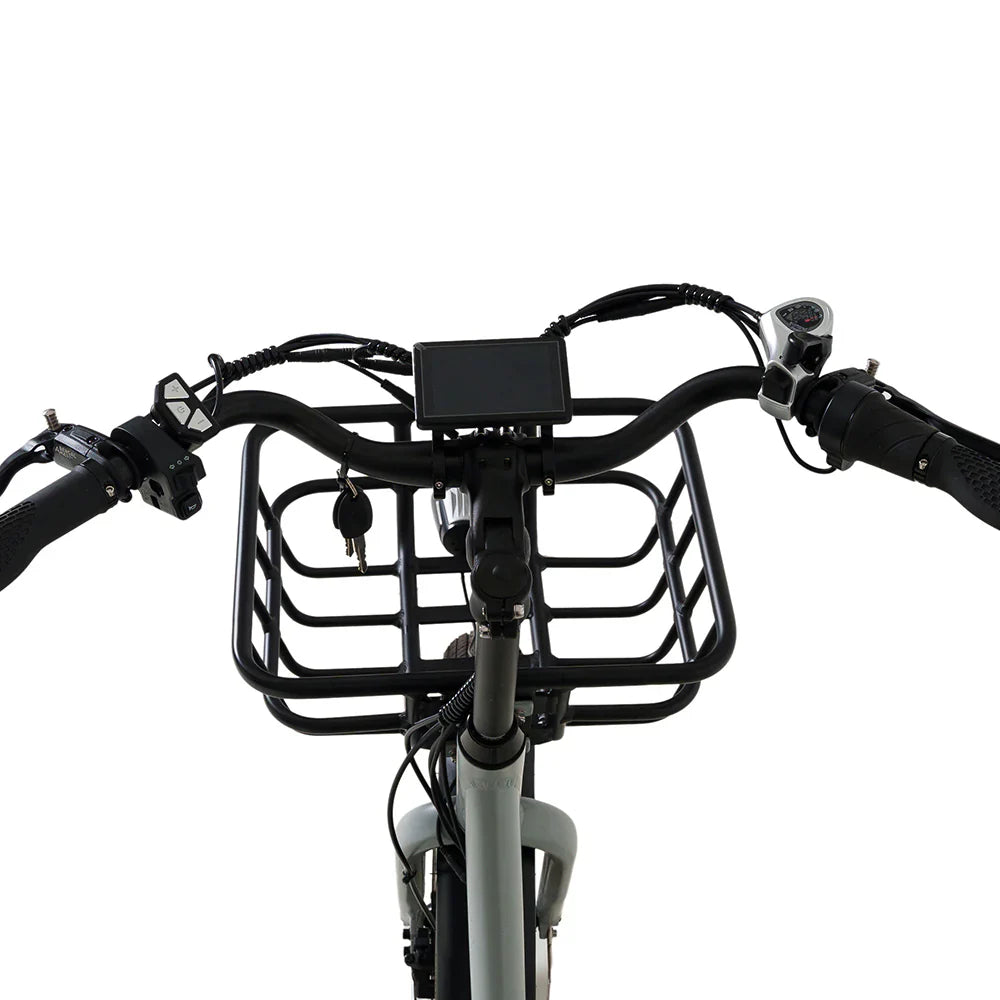 **PREORDER** Oh Wow Cycles Conductor Plus Rickshaw