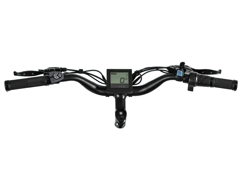 Himiway D3 / Long Range Fat Tire Electric Bike