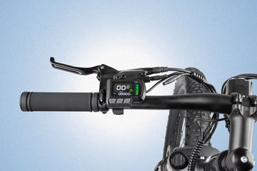Cyrusher Flex Step-Over Commuter E-Bike