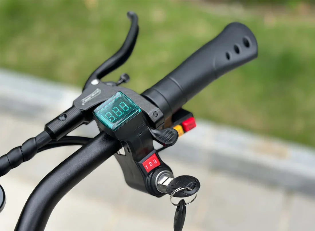 Freego D11 Landtiger Electric Scooter Foldable Dual Motor 4000W