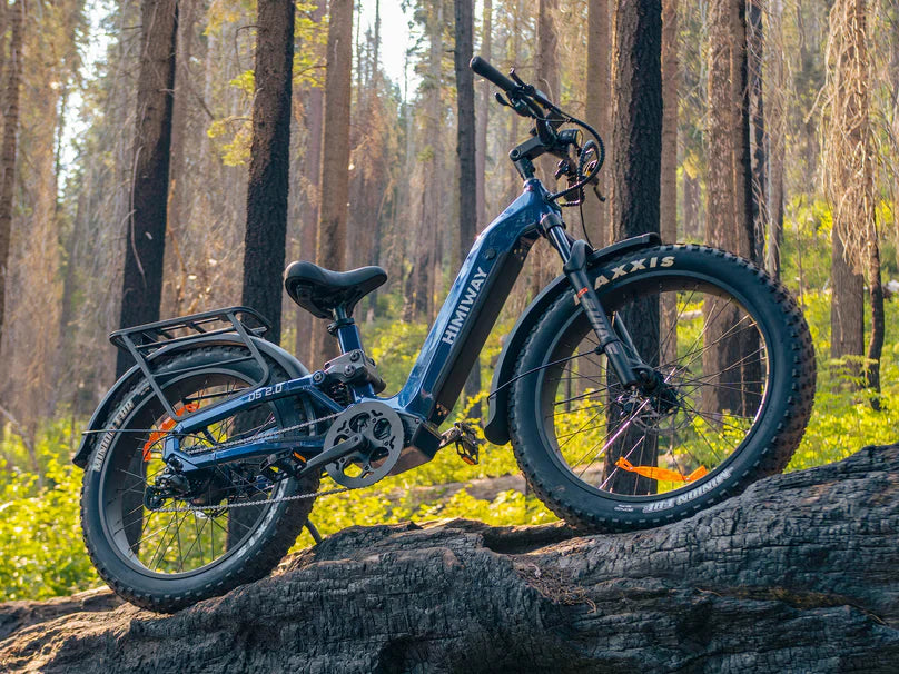 Himiway D5 2.0 Step-Thru Electric Bike