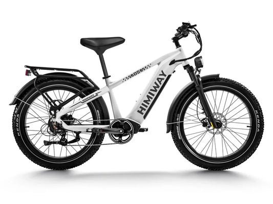 Himiway D5(Zebra) / All-terrain Electric Fat Bike