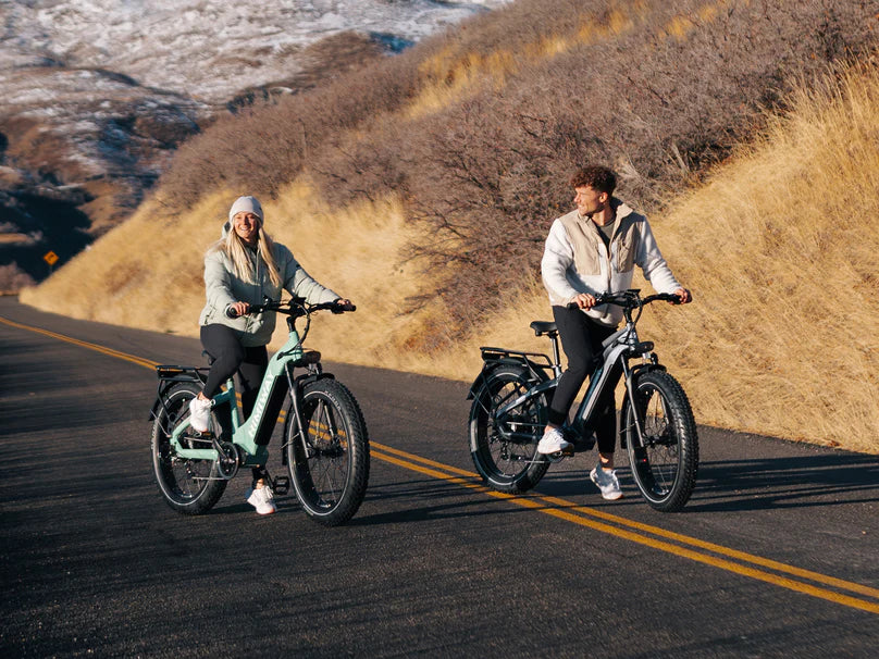 Himiway D5 ST(Zebra ST) / All-terrain Electric Fat Bike
