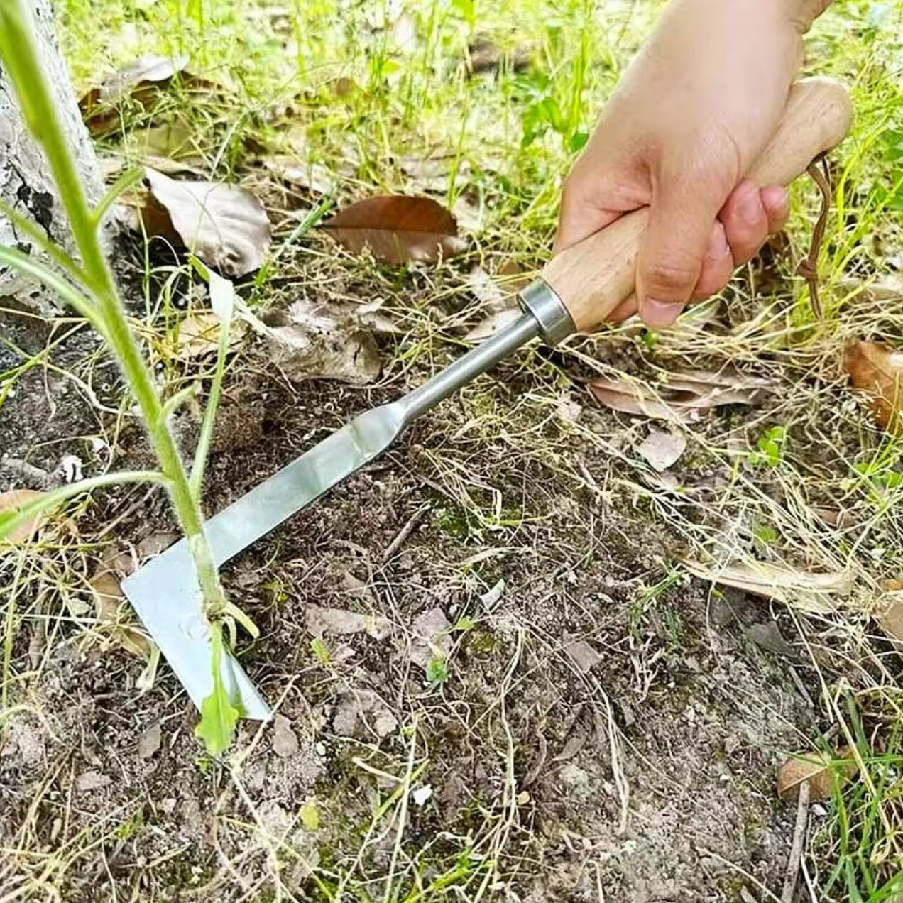 CrackWeed Puller