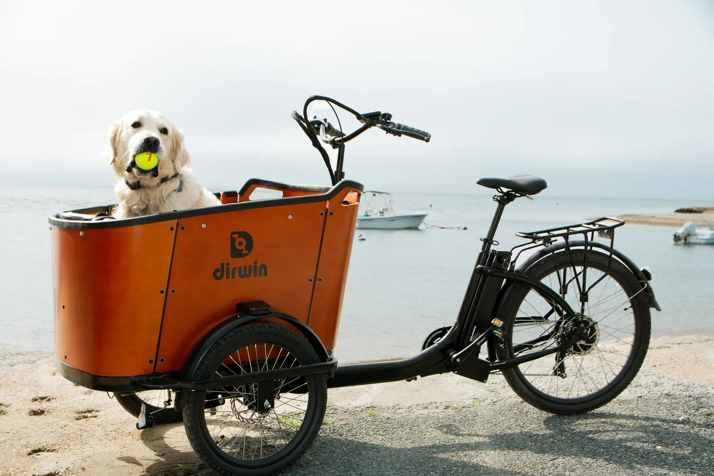 Dirwin Caravan 350W Electric Cargo Bike