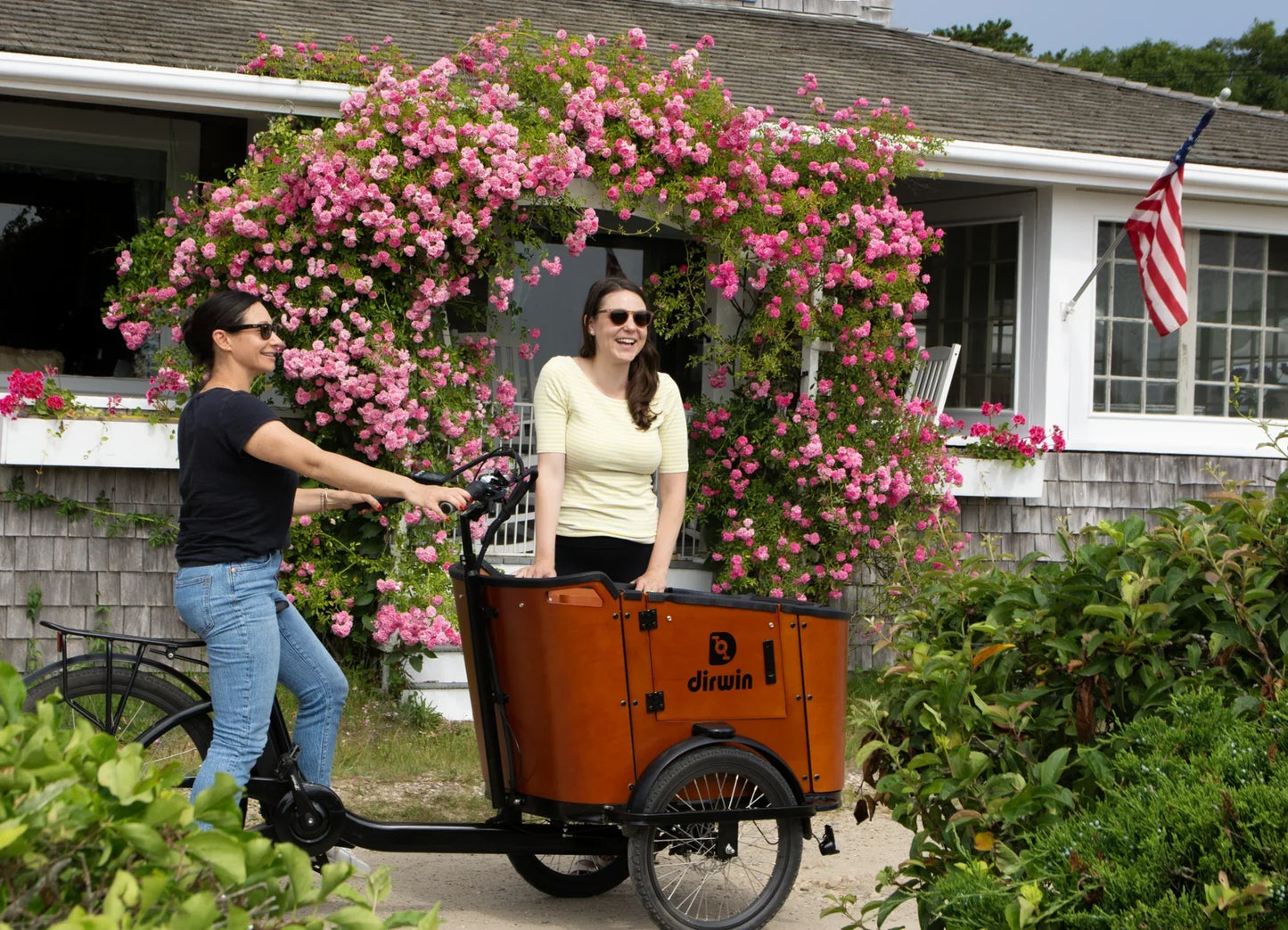 Dirwin Caravan 350W Electric Cargo Bike