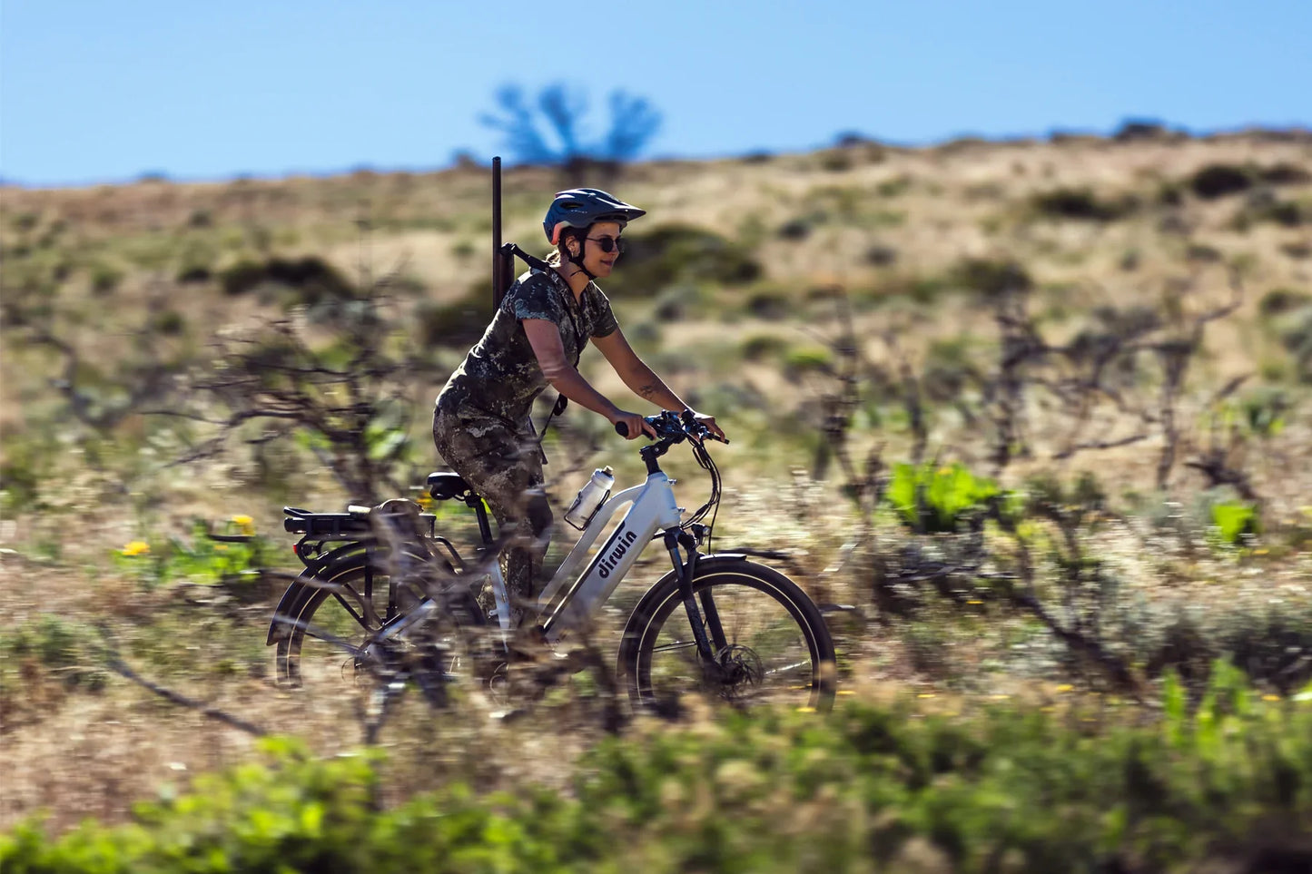 Dirwin Pacer Plus 750W Electric Bike