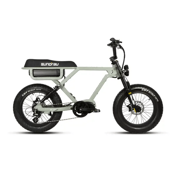 Eunorau FLASH 2.0 Electric Bike