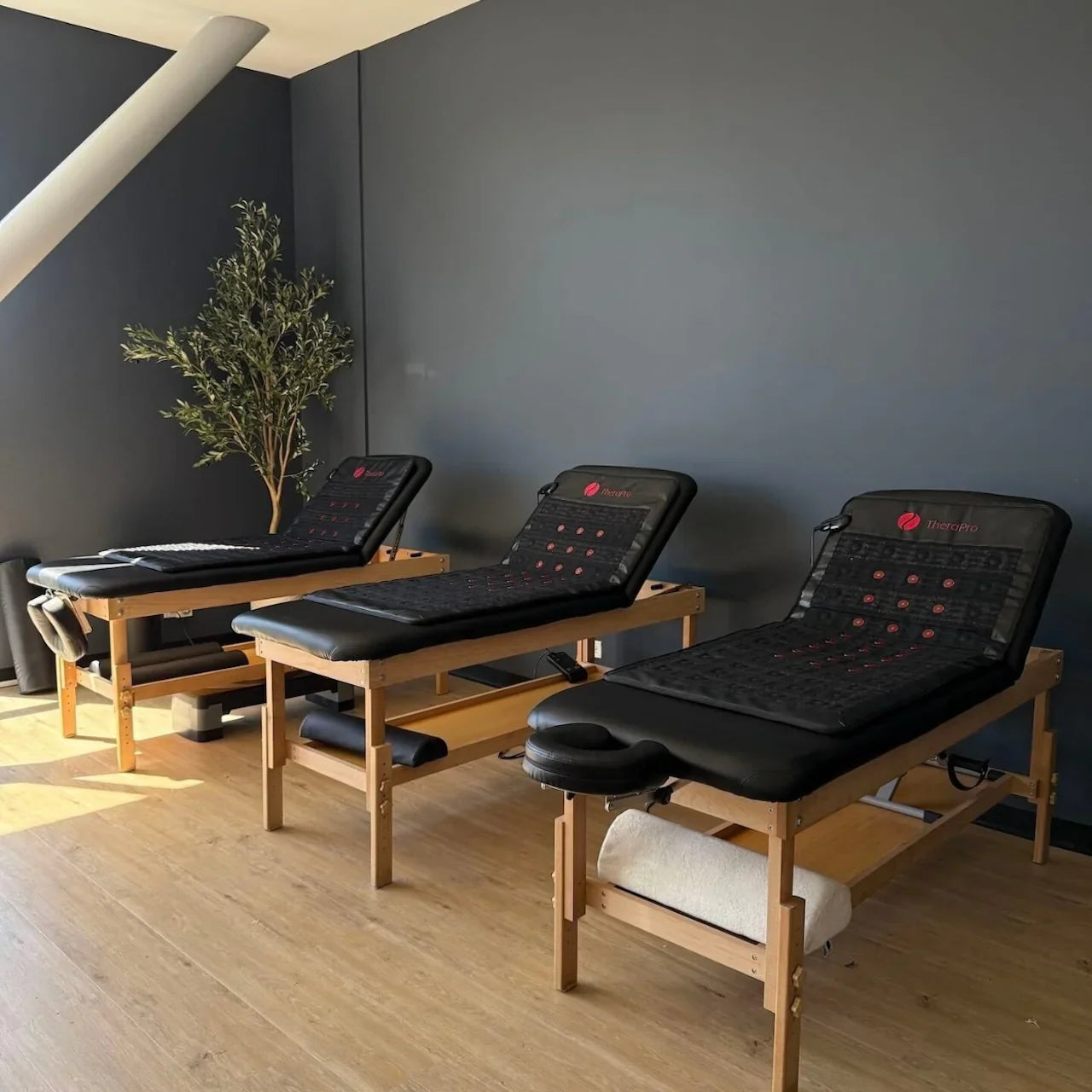 TheraPro™ PEMF, Infrared & Red Light Therapy Recovery Pad by Therasage