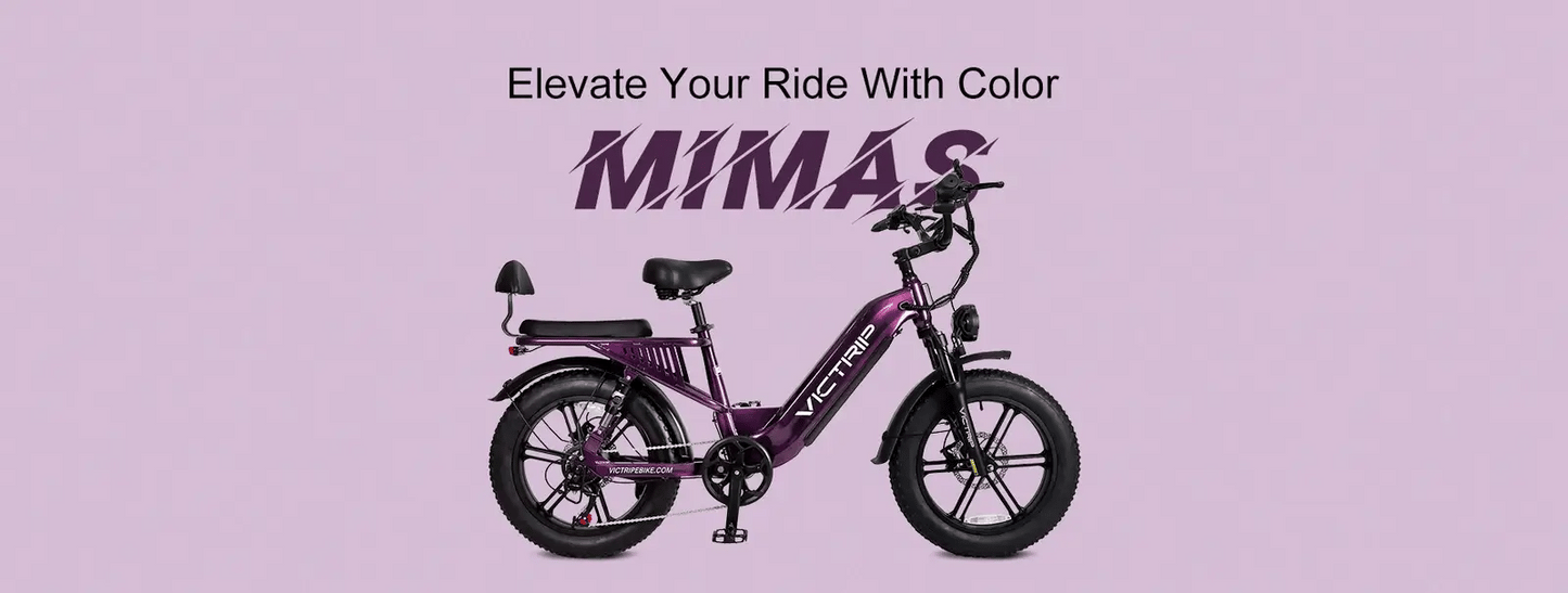 Victrip Mimas Torque Sensor Step Thru EBike with Rack and Fender