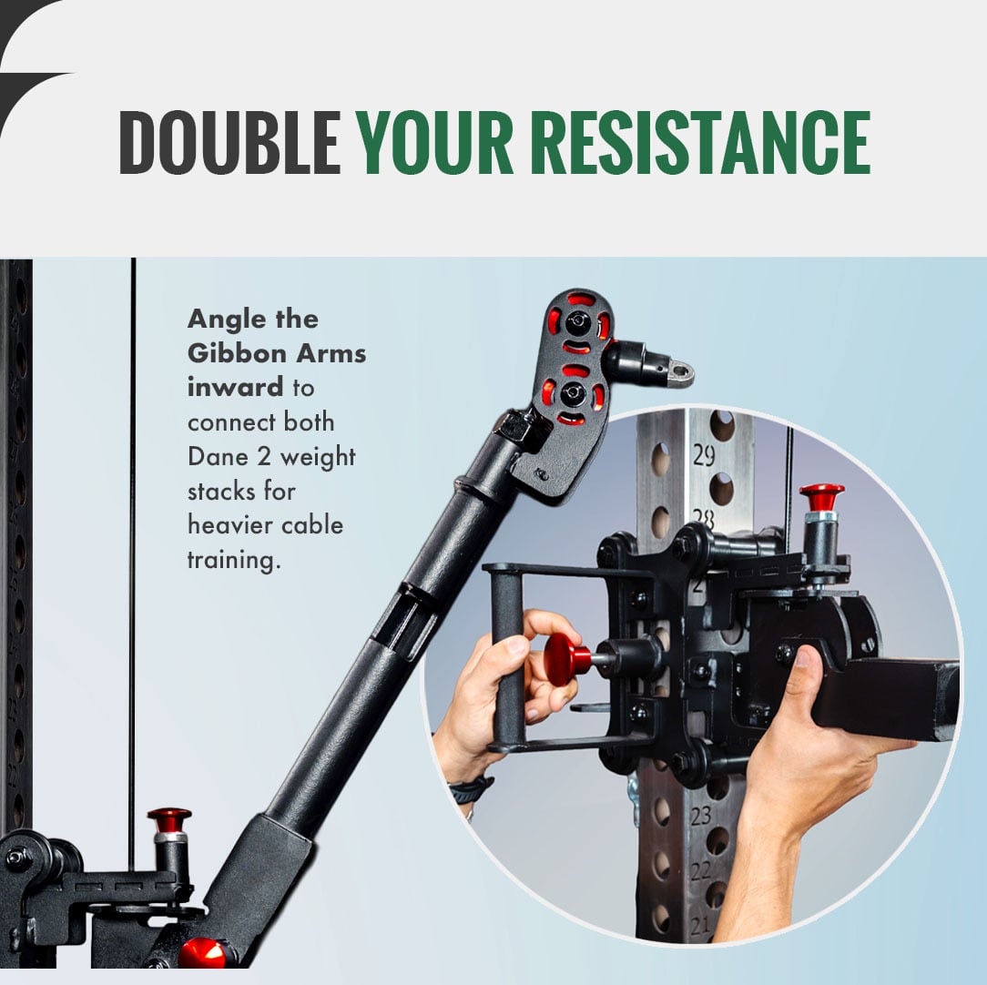 Fringe Sport The Dane 2.0, Half Rack Functional Trainer