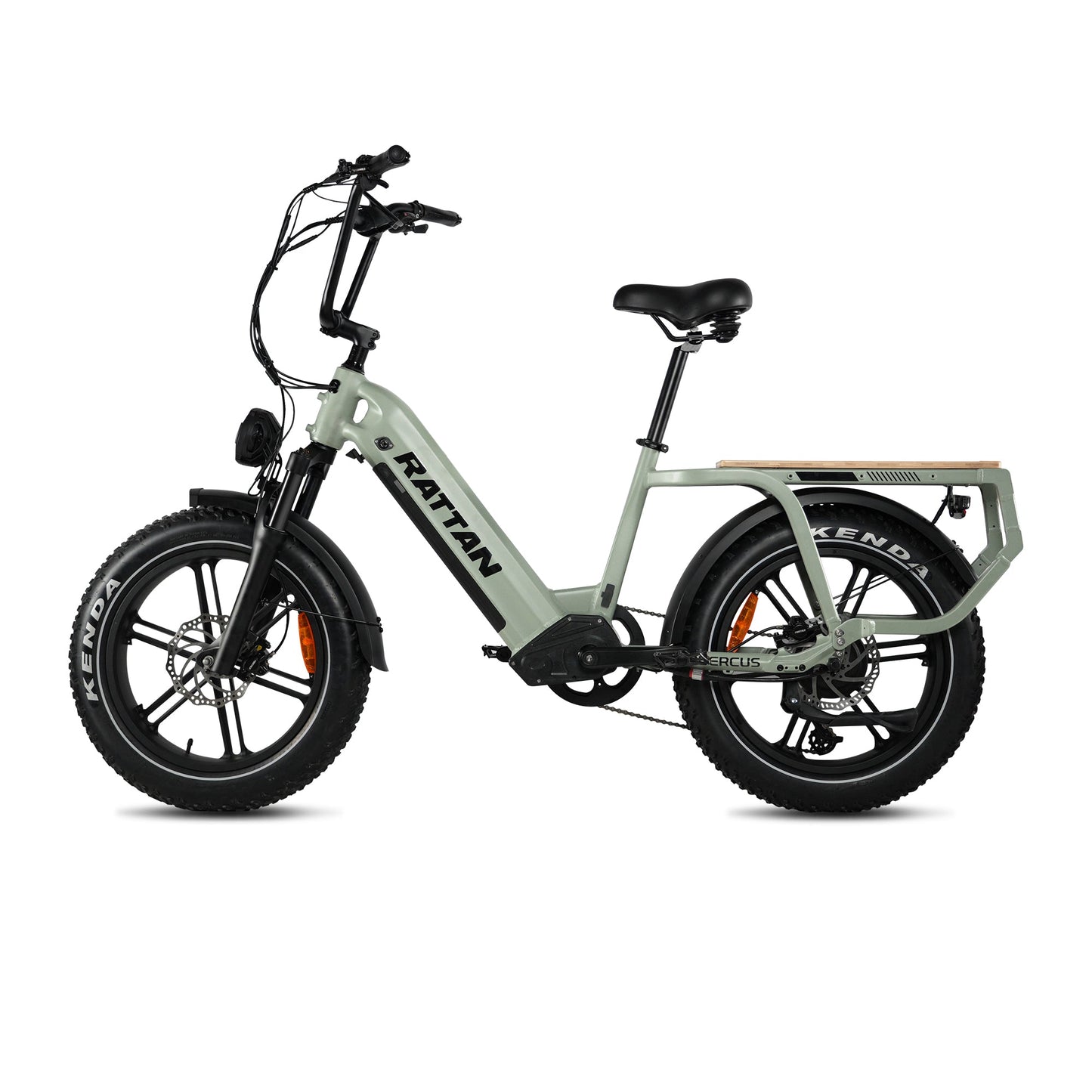 Rattan Quercus Fat Tire 750W Electric Bike
