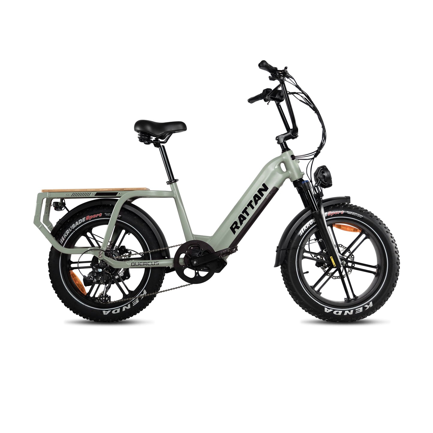 Rattan Quercus Fat Tire 750W Electric Bike