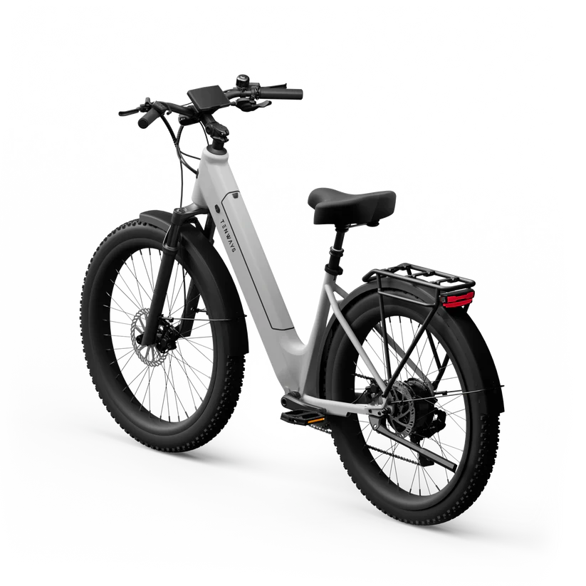 TENWAYS Wayfarer 750W Electric Bike